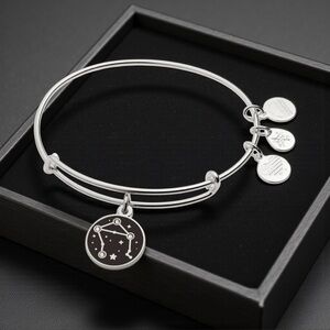 ⚖️ALEX AND ANI⚖️Color Infusion Libra Zodiac Charm Bangle with Gift Box/NWT